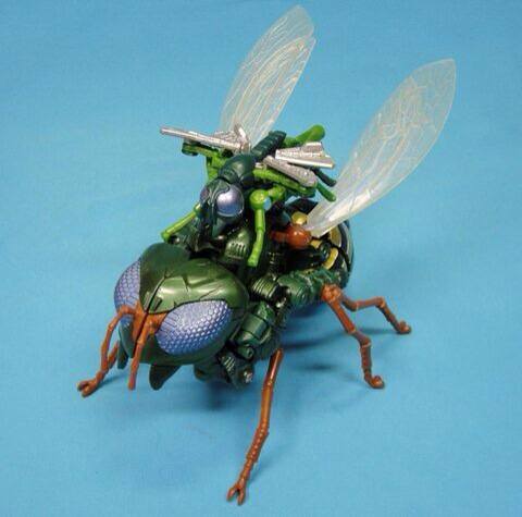 Transformers TG-30 Waspinator and TG-31 Rhinox Package Images of
